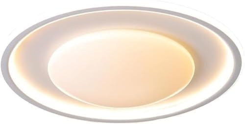 Modern Dimmable Ceiling Light Milk White LED Flush Mount