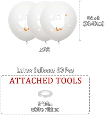 Festiblast One Silly Goose Balloons Set