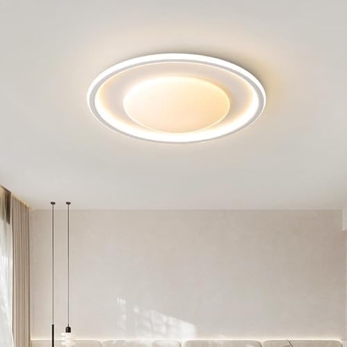 Modern Dimmable Ceiling Light Milk White LED Flush Mount