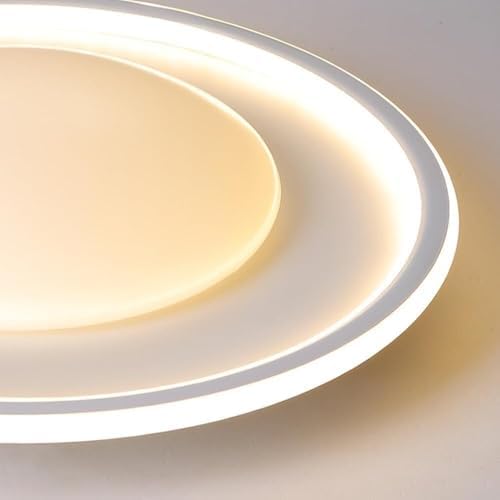 Modern Dimmable Ceiling Light Milk White LED Flush Mount