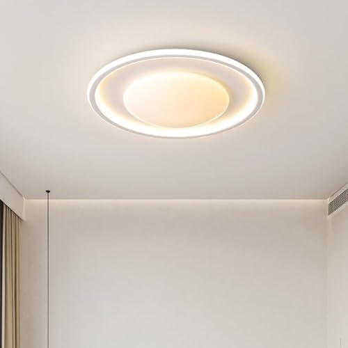 Modern Dimmable Ceiling Light Milk White LED Flush Mount