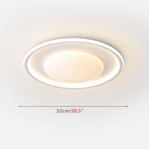 Modern Dimmable Ceiling Light Milk White LED Flush Mount