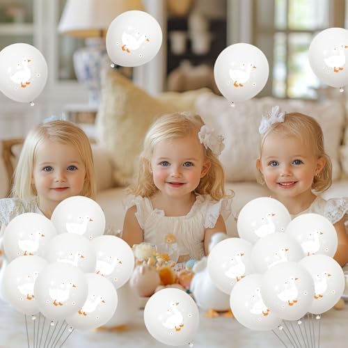 Festiblast One Silly Goose Balloons Set