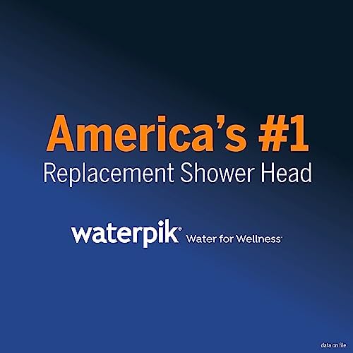Waterpik Magnetic Dual Dock Handheld Shower Head