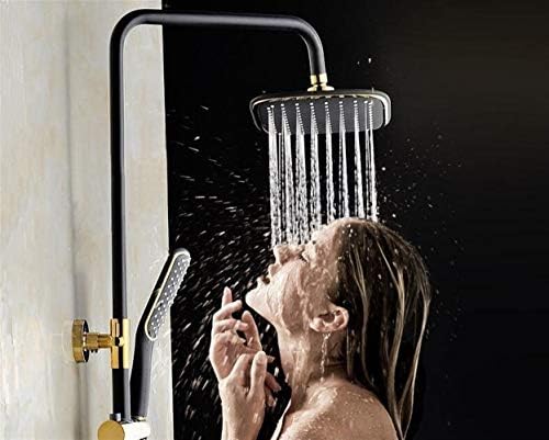 Durable Black Gold Handheld Shower Head with Rain Function