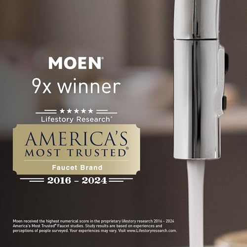 Moen 3667EP Handheld Showerhead with Slide Bar and Long Hose