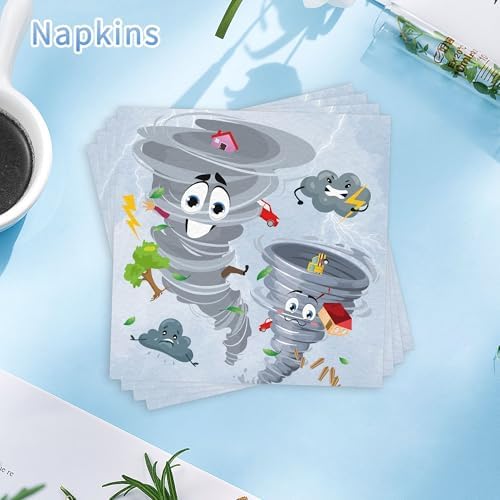 96 Pcs Tornado Themed Birthday Party Tableware Set for 24 Guests