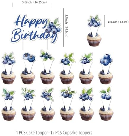 Blueberry Party Decorations - Birthday Banner Cake Topper Balloons More