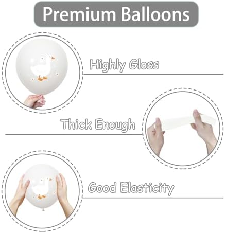 Festiblast One Silly Goose Balloons Set