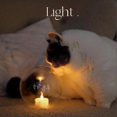 12 Pack Crystal LED Tea Light Candles for Decorations