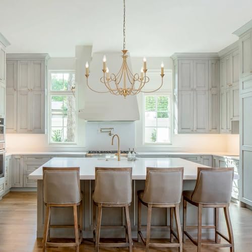 6-Light Modern Chandelier with Brass Finish