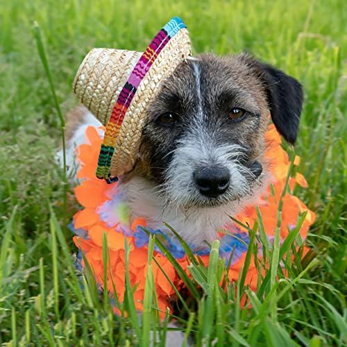 Frcctre 12 Pack Mini Mexican Hat Party Decor