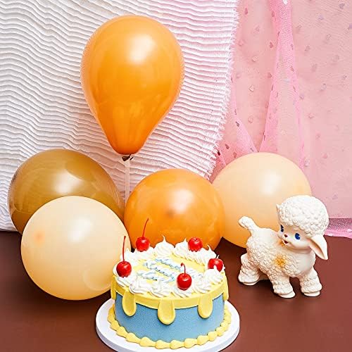 Chalyna 120 Pcs 5 Inch Brown Balloons Party Decorations