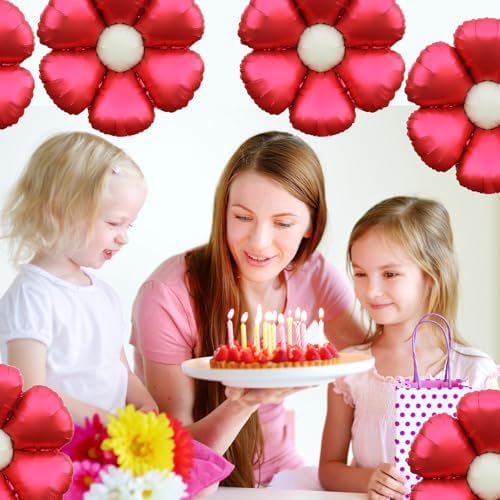 ZHENGYE Daisy Balloons 10 Pack Red Party Decorations