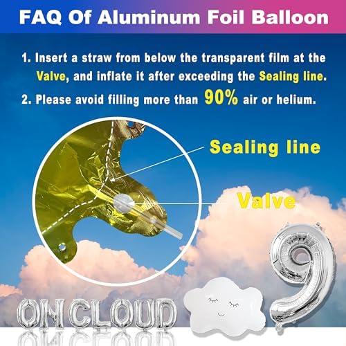 ON CLOUD 9 Birthday Decorations for Girls 1