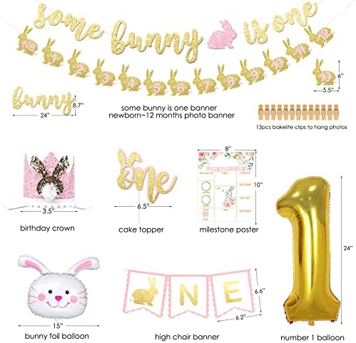 Some Bunny is One Birthday Party Supplies for Girls