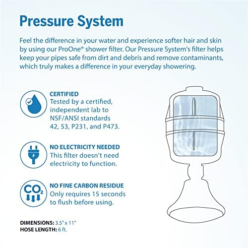 ProMax Brushed Handheld Shower Filter 1