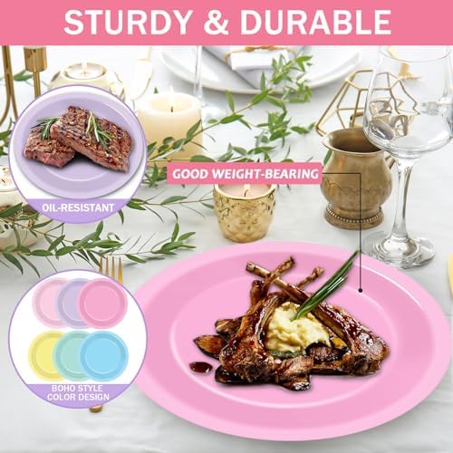 48Pcs Pastel Rainbow Paper Plates for Parties