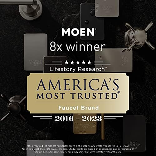 Moen 3667EP Handheld Showerhead with Slide Bar and Long Hose