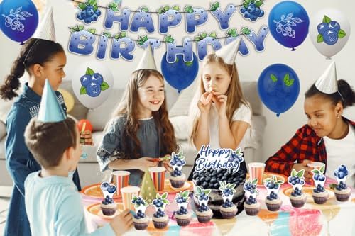 Blueberry Party Decorations - Birthday Banner Cake Topper Balloons More
