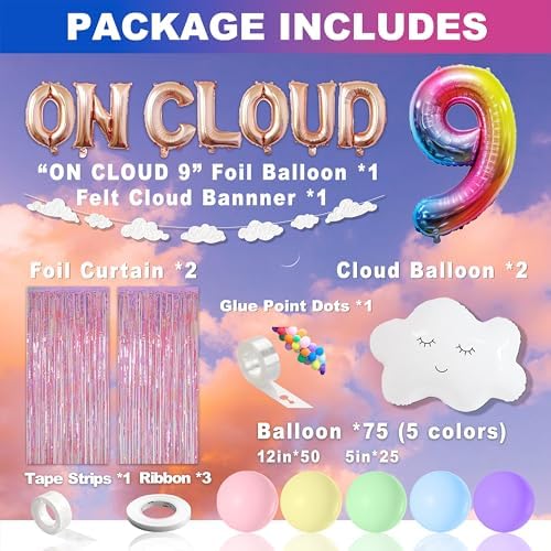 ON CLOUD 9 Birthday Decorations for Girls