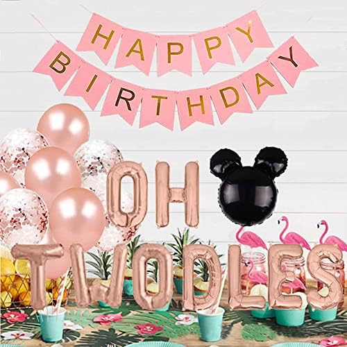 Oh Twodles Birthday Balloons 2nd Birthday Decoration Kit Rose Gold