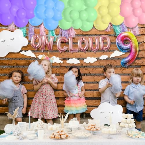 ON CLOUD 9 Birthday Decorations for Girls