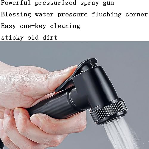 Adjustable Shower Head with Digital Temperature Display