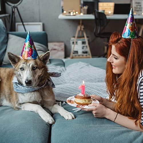 96 Pcs Dog Birthday Party Plates Napkins Forks Set