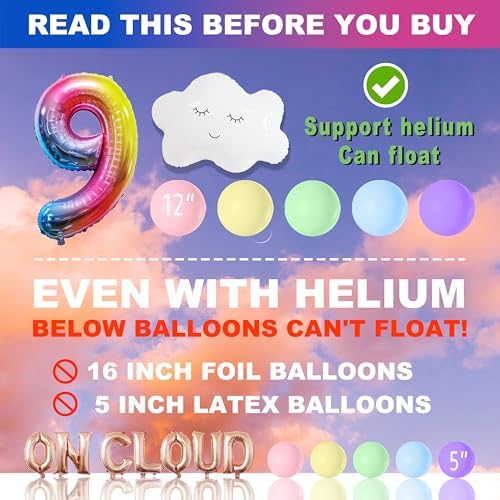 ON CLOUD 9 Birthday Decorations for Girls