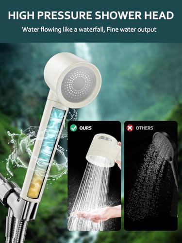 Filtered Shower Head with Handheld and Hose