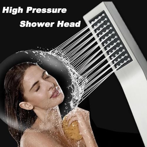 Bellearly Chrome Handheld Shower Head with Hose and Holder