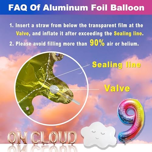 ON CLOUD 9 Birthday Decorations for Girls