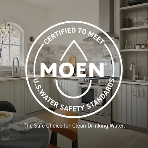 Moen 3667EP Handheld Showerhead with Slide Bar and Long Hose