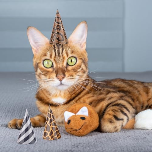 Hooqict 10 PCS Animal Party Hats for Kids and Pets