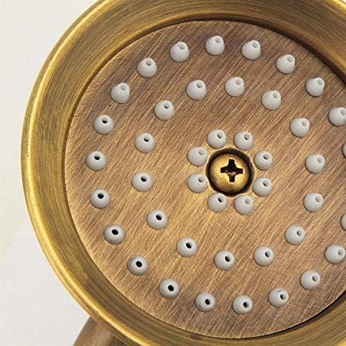 Handheld Luxury Showerhead with Flushing Compatibility