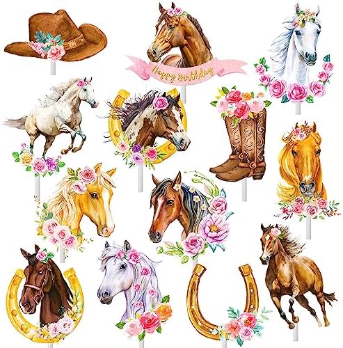 51pcs Western Cowgirl Birthday Decorations Set